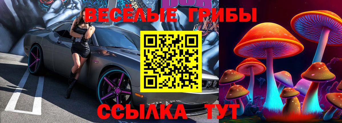 Псилоцибиновые грибы ЛСД  Вход с VPN  Спасск-Дальний 